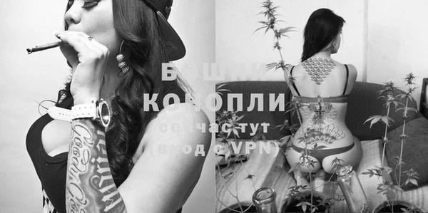 гашик Заволжье