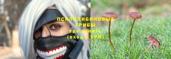 гашик Заволжье
