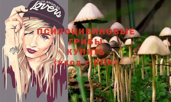 гашик Заволжье
