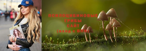 мет Заводоуковск