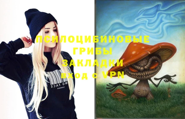 гашик Заволжье