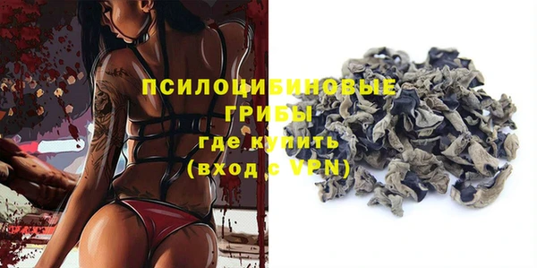 гашик Заволжье