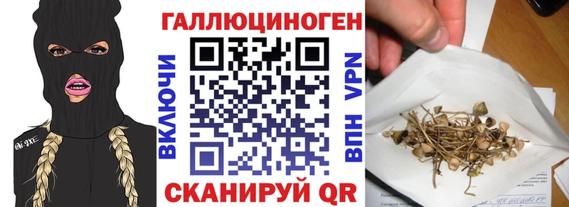 Галлюциногенные грибы Psilocybe  Купить закладки  Городище 